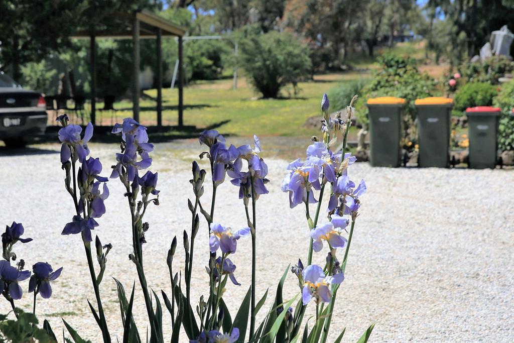 Wattle Grove Motel Maryborough Exterior photo